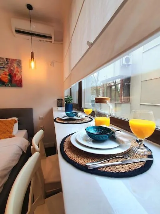 Studio Central Calea Victoriei Bucharest Apartment